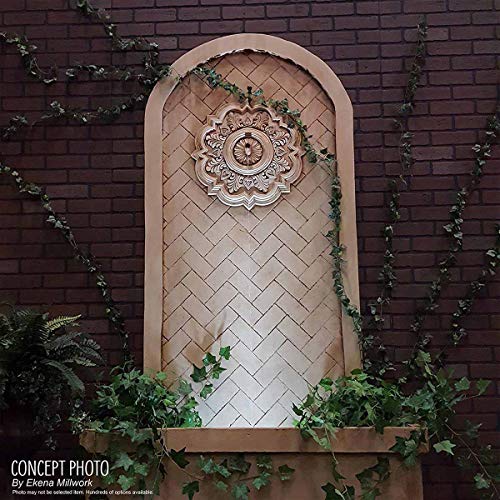 Ekena Millwork CM22RB 22 1/4-Inch OD x 4 3/4-Inch ID Robin Ceiling Medallion