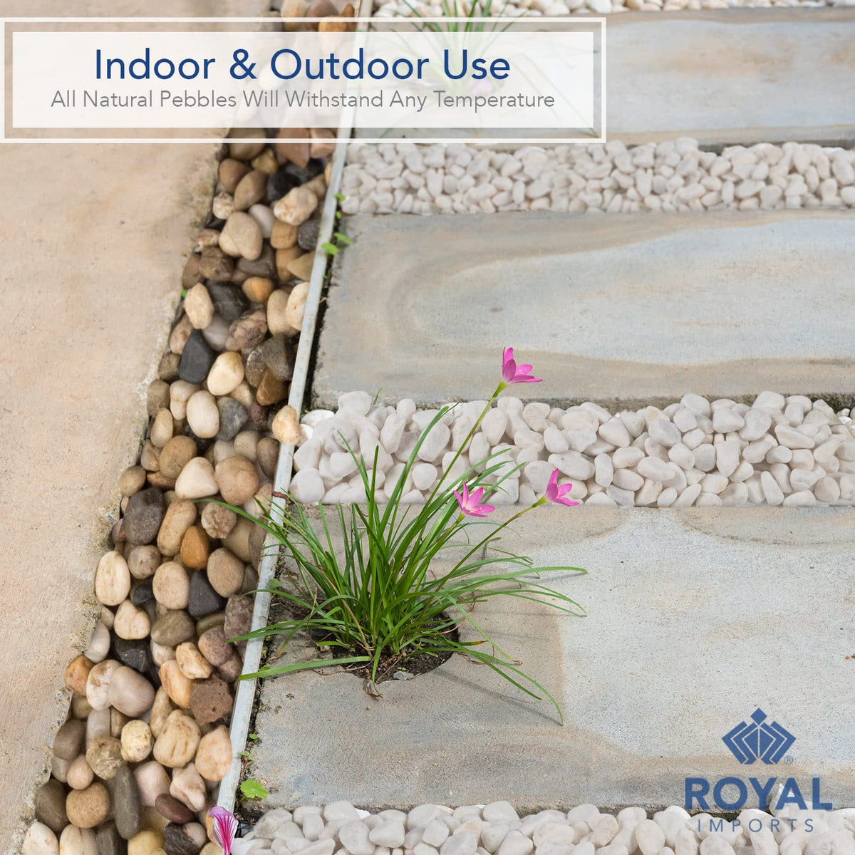 Royal Imports 5LB Decorative Stones River Pebbles Painting Rocks for Fish Aquariums, Plant Gravel, Landscaping, Home Decor Natural - Small Marble