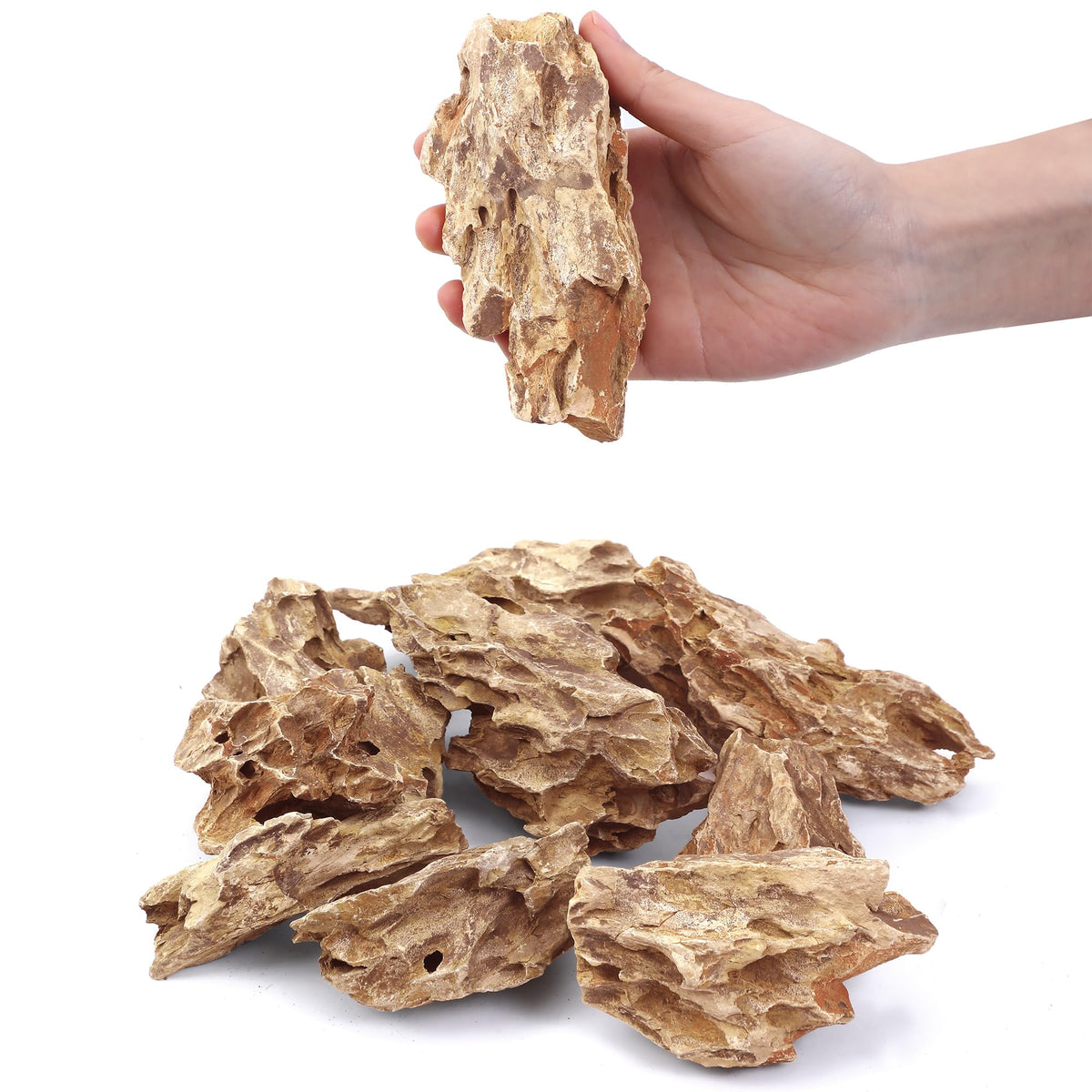 FISCAPE 10 Natural Aquarium Rocks 2" to 4" Perfect Rocks for Aquariums, Landscaping Model,Tank Decoration, Amphibian Enclosures-Dragon Stones