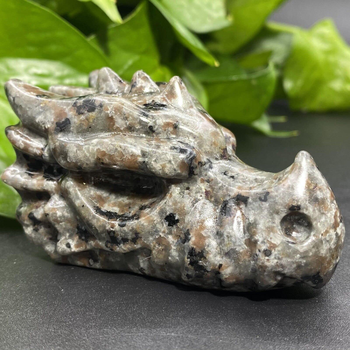 TEAMWILL 3.15" Natural Yooperite Hand Carved Dragon Skull Quartz Crystal Healing 1pc