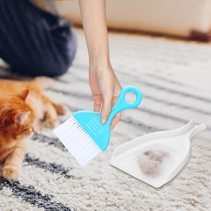 CHENGU 3 Pcs Mini Dustpan Set Brush