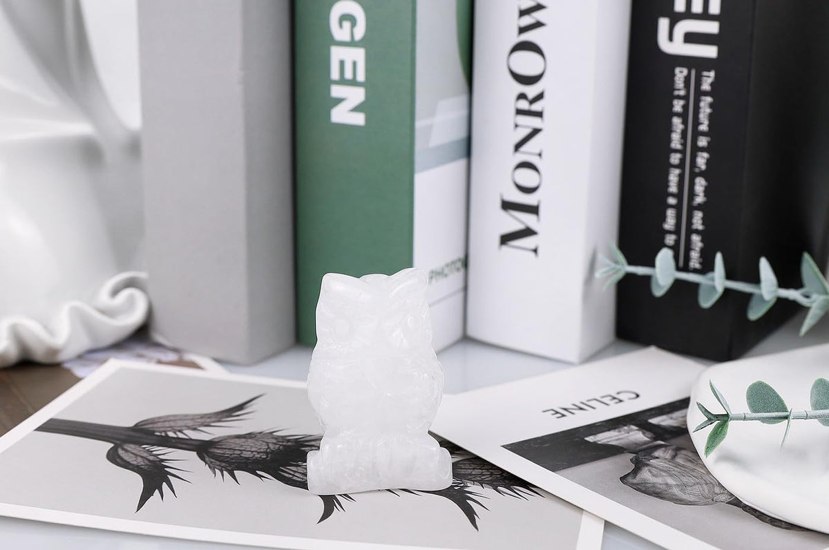 QINJIEJIE 2" Clear Quartz Crystals Owl Decor Stone Figurines Gemstone Sculpture Home Reiki White Owls Statue Cute Room Desk Collectible Gift for Women