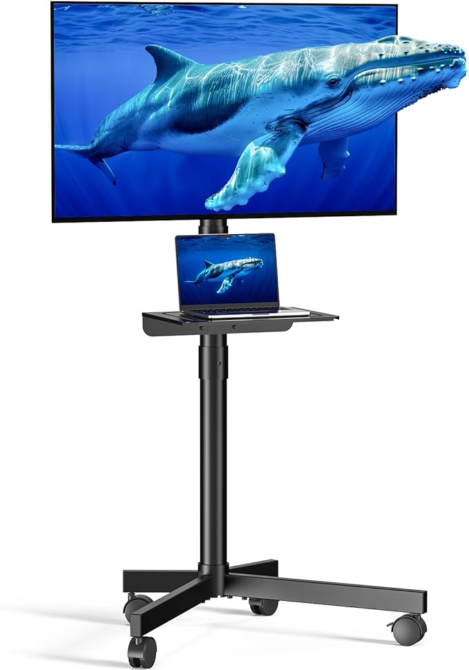 Mobile TV Cart for 23-60 Inch LCD LED OLED Flat Curved Screen TVs