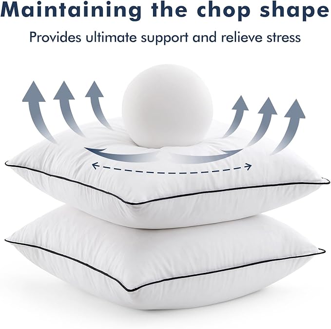 MIULEE Goose Feather Down 22x22 Pillow Insert Set of 2