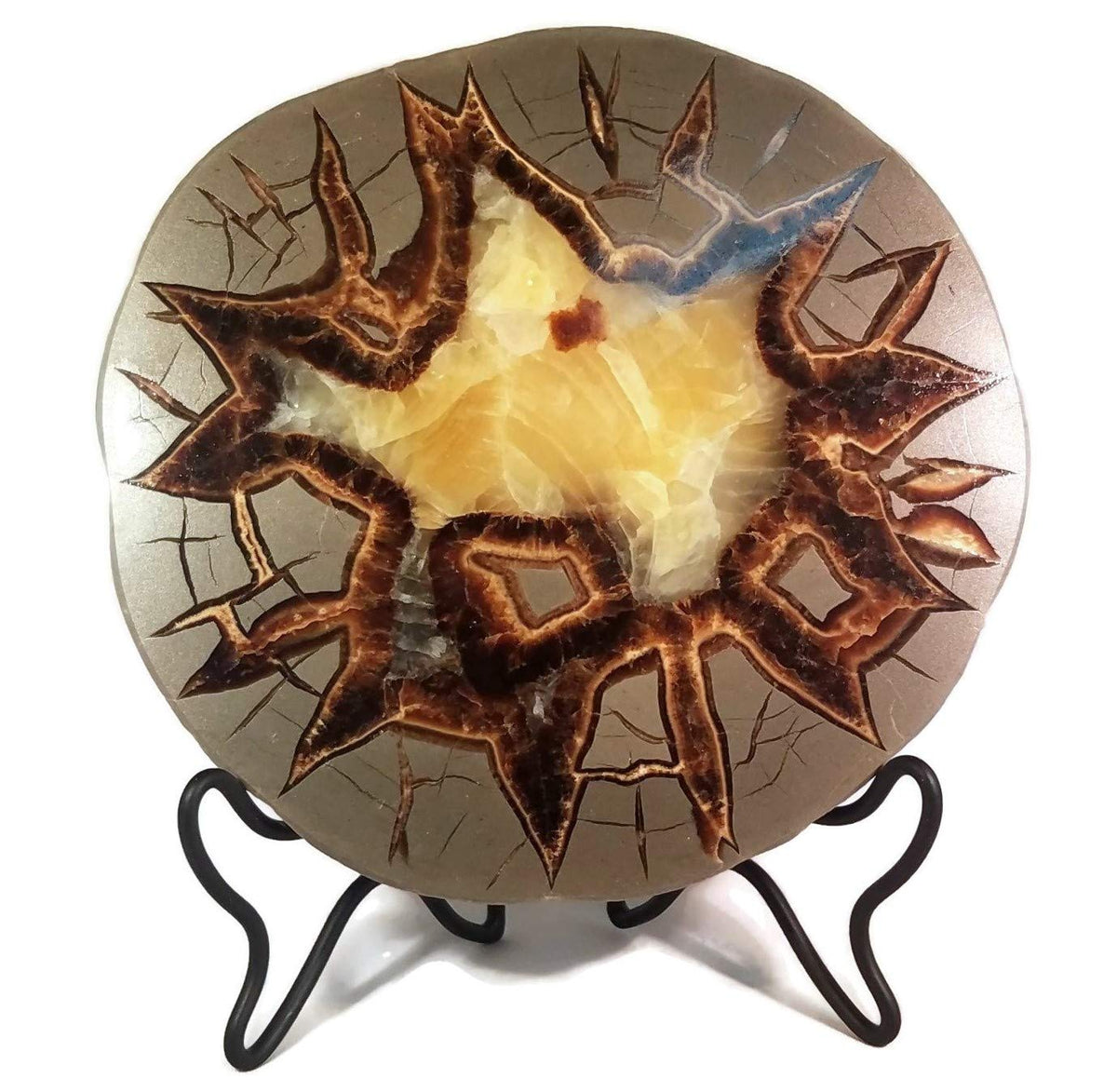 The Geode Mine: Septarian Nodule Slab - Stand and Information Card Included (A: 4.5 to 5.5 inch)