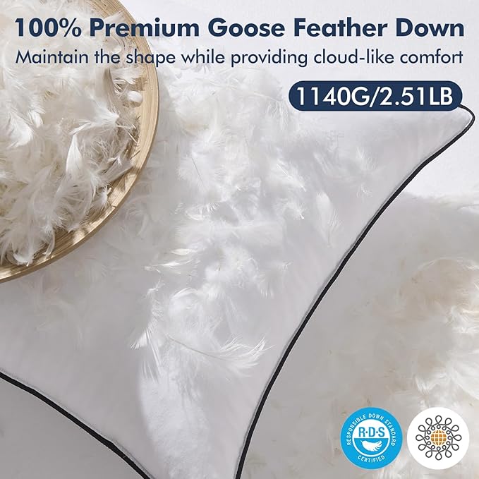 MIULEE Goose Feather Down 20x20 Pillow Insert Set of 2