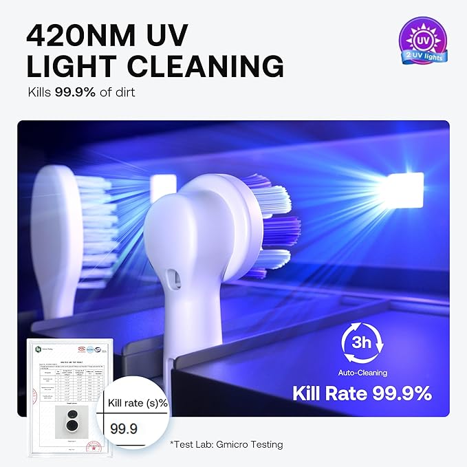 Bitvae Upgraded Tooth Brush Holder
