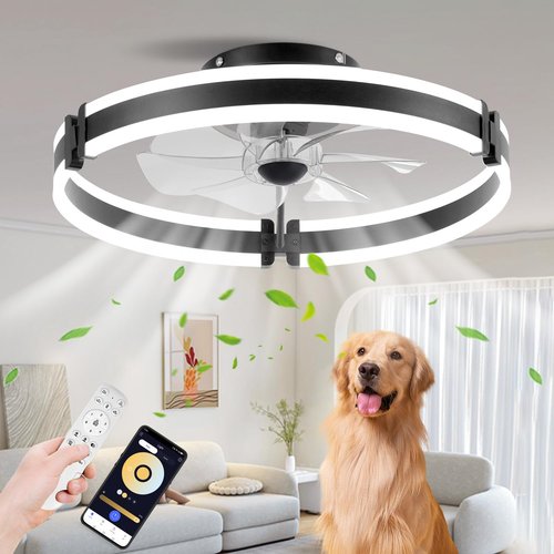 BAYSQUIRREL Ceiling Fans with Lights and Remote, Dimmable Bladeless Ceiling Light, 3 Colors 6 Speeds Reversible, Modern Low Profile Flush Mount Ceiling Fan for Bedroom