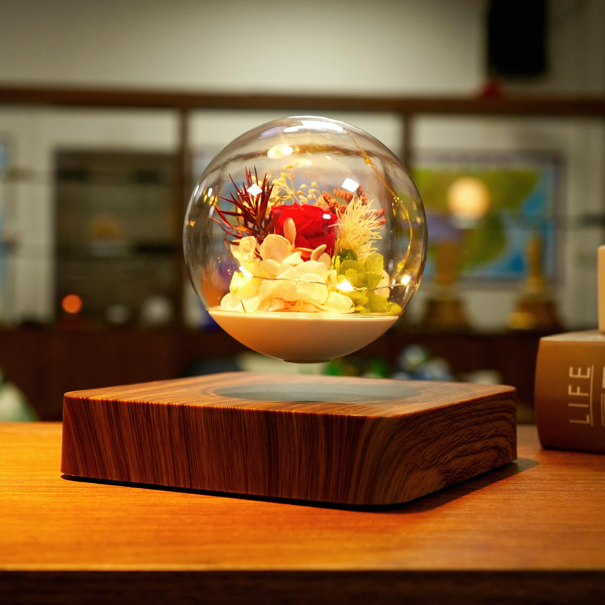 MAGECMOON Magnetic Levitation Preserved Flower, Forever Real Eternal Roses, Floating Lamp Levitating LED Light Bulb, Gifts for Kids Lover Friends (Dark Brown Base, 5.5"*5.5" (Plastic))