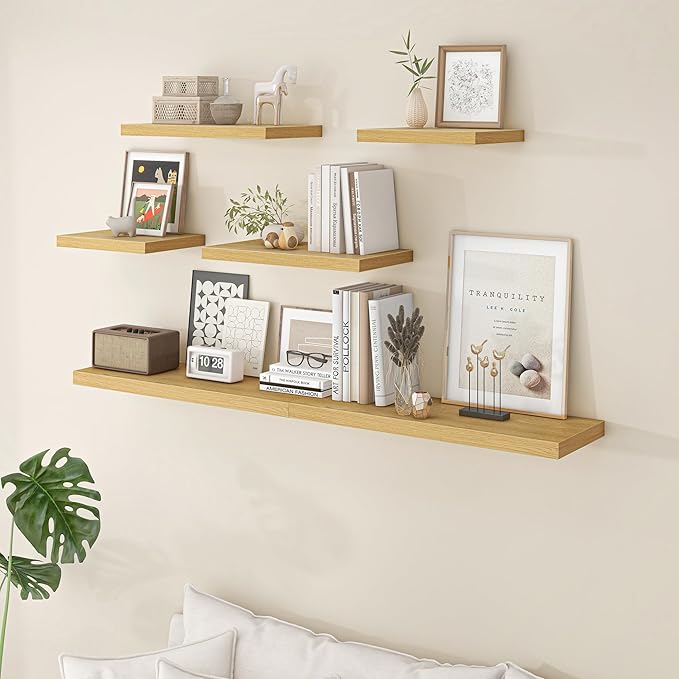 Fun Memories Floating Shelves