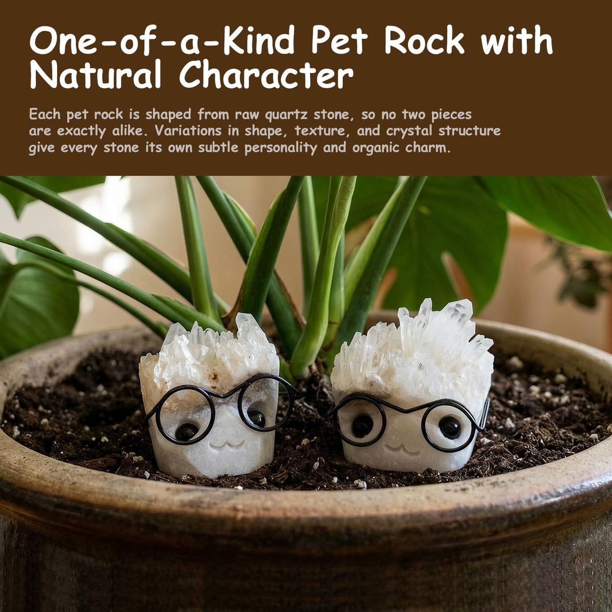 HouseBegan Pet Rock Desk Decor Made from Natural Quartz Crystal, Mystery Healing Stone with Calming Energy, Cute Small Gift for Office, Birthday (White)