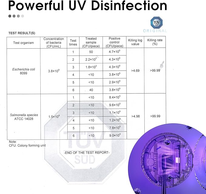 iHave Toothbrush Sanitizer Holder: Auto-Cycle UV Disinfection & Magnetic