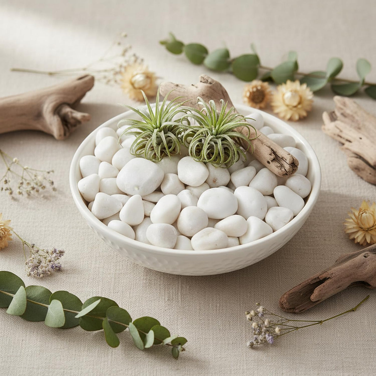 Midwest Hearth Decorative Polished White Stones, 1 to 2 Inch Natural River Pebbles, Vase Filler, Succulent, Fairy Garden, Flower Arrangement, Landscaping, Eco-Friendly, Non-Toxic, 5-lb Bag