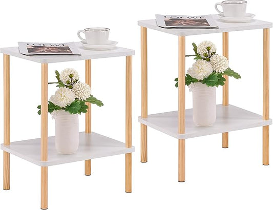 Apicizon 2 Tier End Table Set of 2, Small Side Table