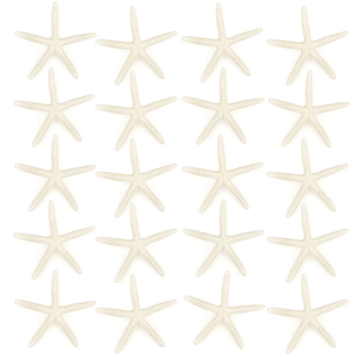 Jangostor 20 PCS Starfish, 2.5" to 4" Natural Seashells Starfish Star Fish Shells Decorations White Starfish Ornaments Perfect for Wedding Beach Theme Party Home Decorations, DIY Crafts, Fish Tank