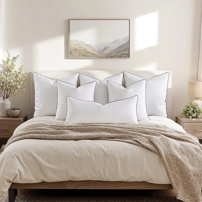 MIULEE Goose Feather Down 20x20 Pillow Insert Set of 2