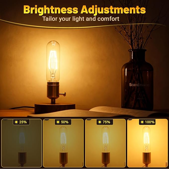 T10 Tubular Light Bulbs 60 Watt Incandescent Light Bulb, T10 Bulb, 120V 60W