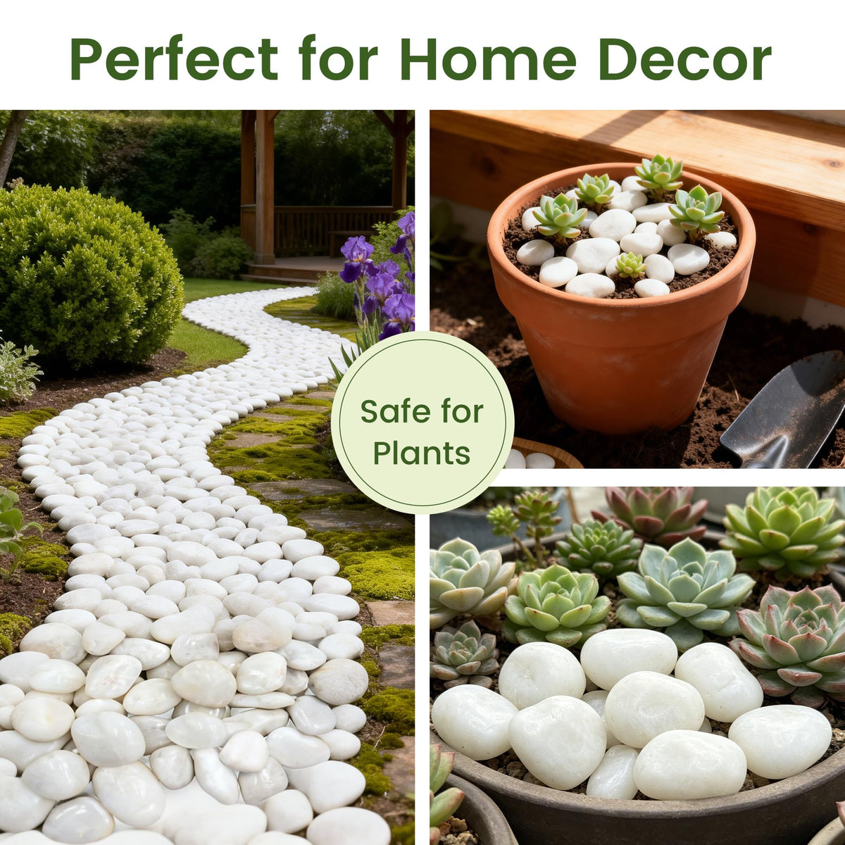5 lbs White River Rocks, Polished Pebbles for Indoor Plants, 1-2 inch Decorative White Stones for Plants Vase Aquarium Fish Tank and Outdoor Garden Landscaping Rocks