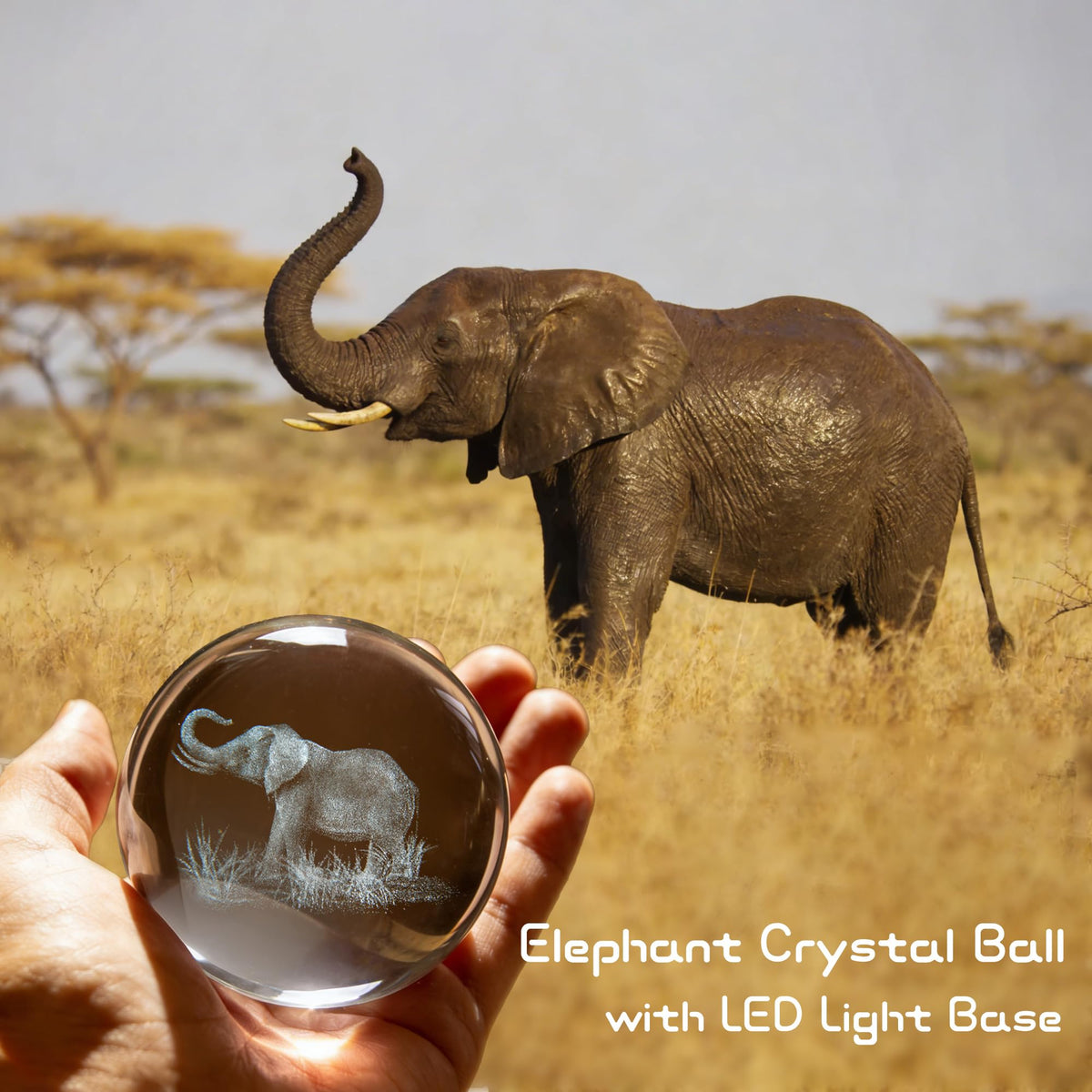 QIANCHANG 3D Elephant Crystal Ball with LED Stand, 80mm Glass Sphere Night Light Lamp, Crystal Animal Figurines Collectibles, Elephant Lover Gifts for Men & Women