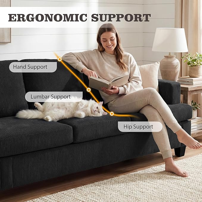 Apicizon Loveseat & 3 Seater Sofa Sets, 2 Piece Modern Sleeper Sofa