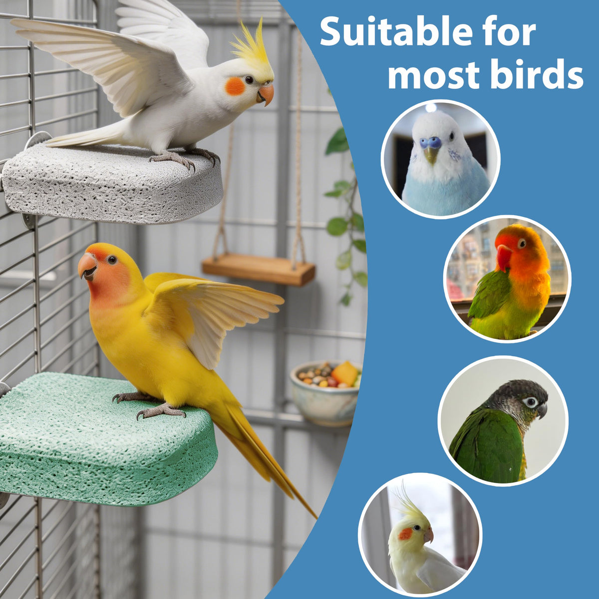 6Pcs Bird Beak Grinding Stone,Rough-Surfaced Grinding Stone,Calcium Mineral Bird Perch,Beak & Claw Trimming Accessory,Natural Chewing Toys for Budgie Cockatiel Conure Lovebird Finch Small Medium Birds
