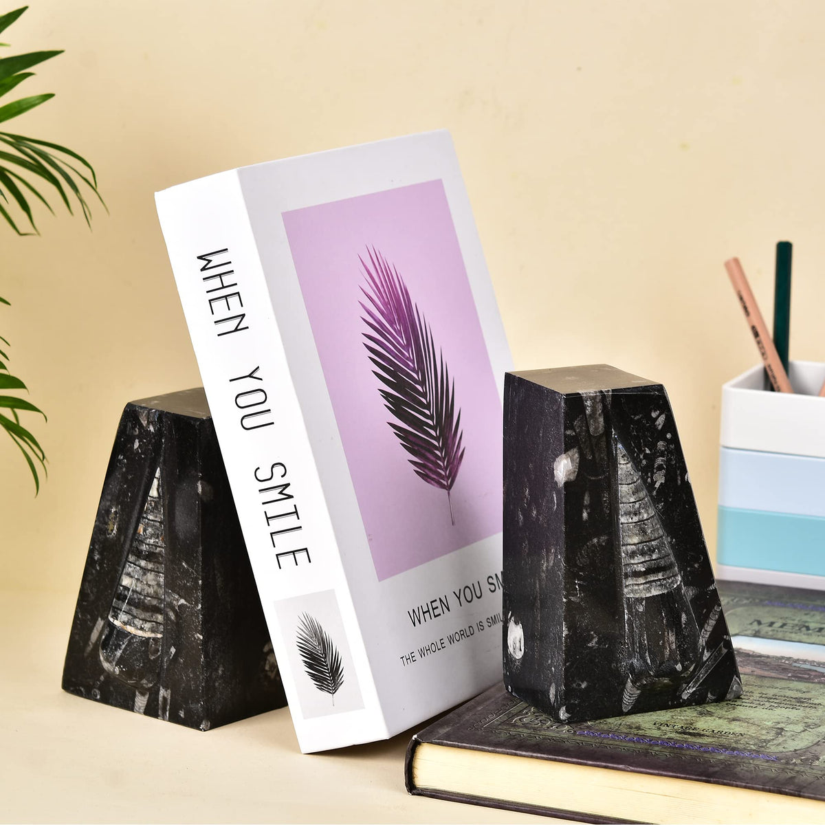 JIC Gem Natural Orthoceras Fossil Bookends-Black Fossilized Wedge Shaped Bookends with Rubber Bumpers for Office and Home Decoration Frome Morocco （1 Pair 4-5lbs ）