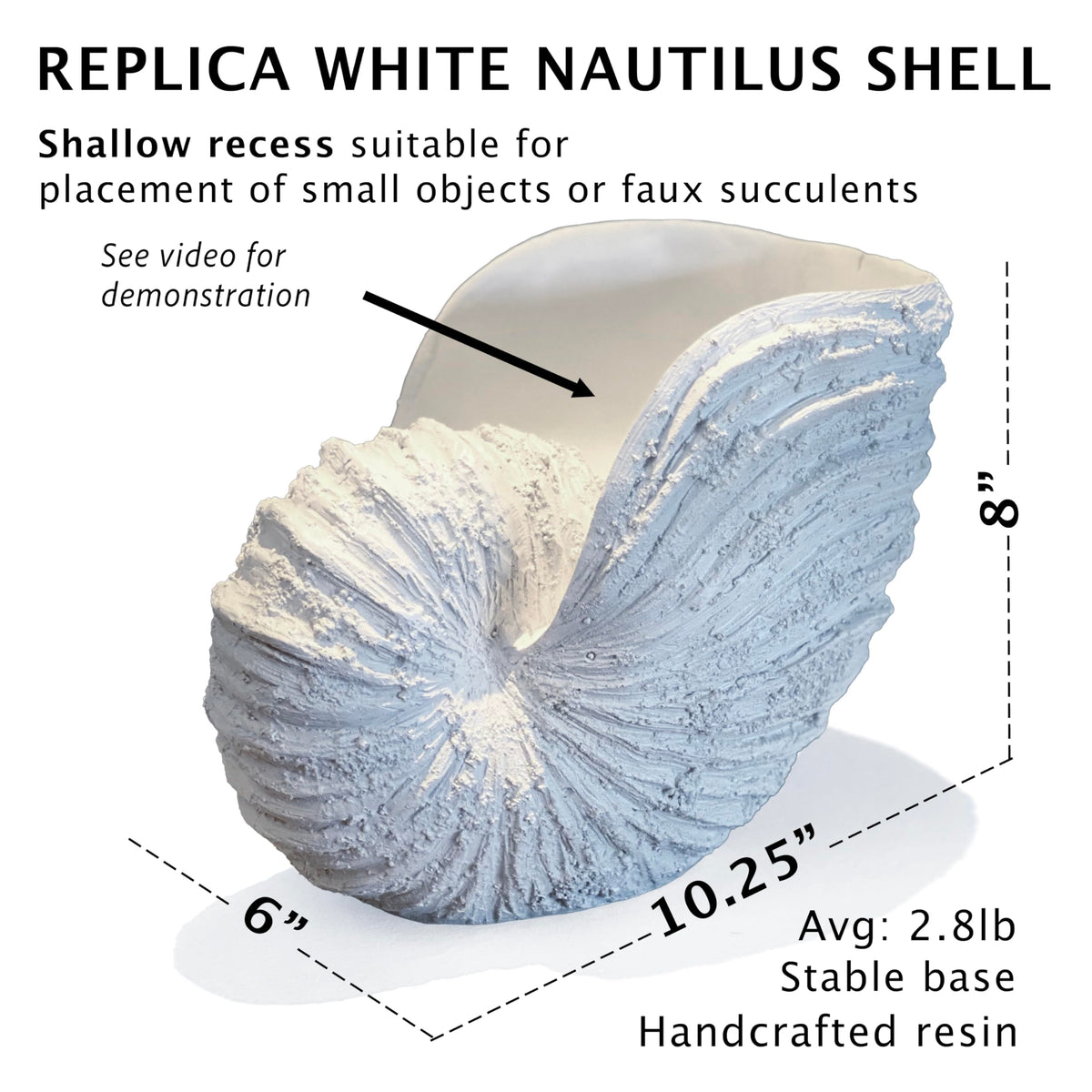Huey House Nautilus Shell Sculpture - Replica Beach Themed Ocean Decor for Home - Rustic White Resin 10¼" x 6" x 8" Crafted Coastal Seashell Shelf Decor Gift-Boxed