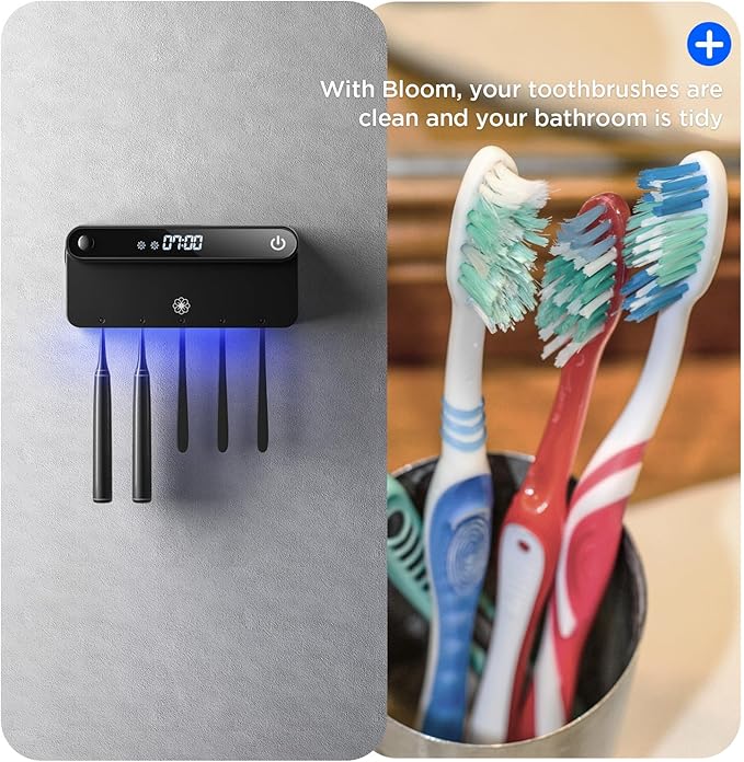 Bloom Toothbrush Sanitizer and Holder