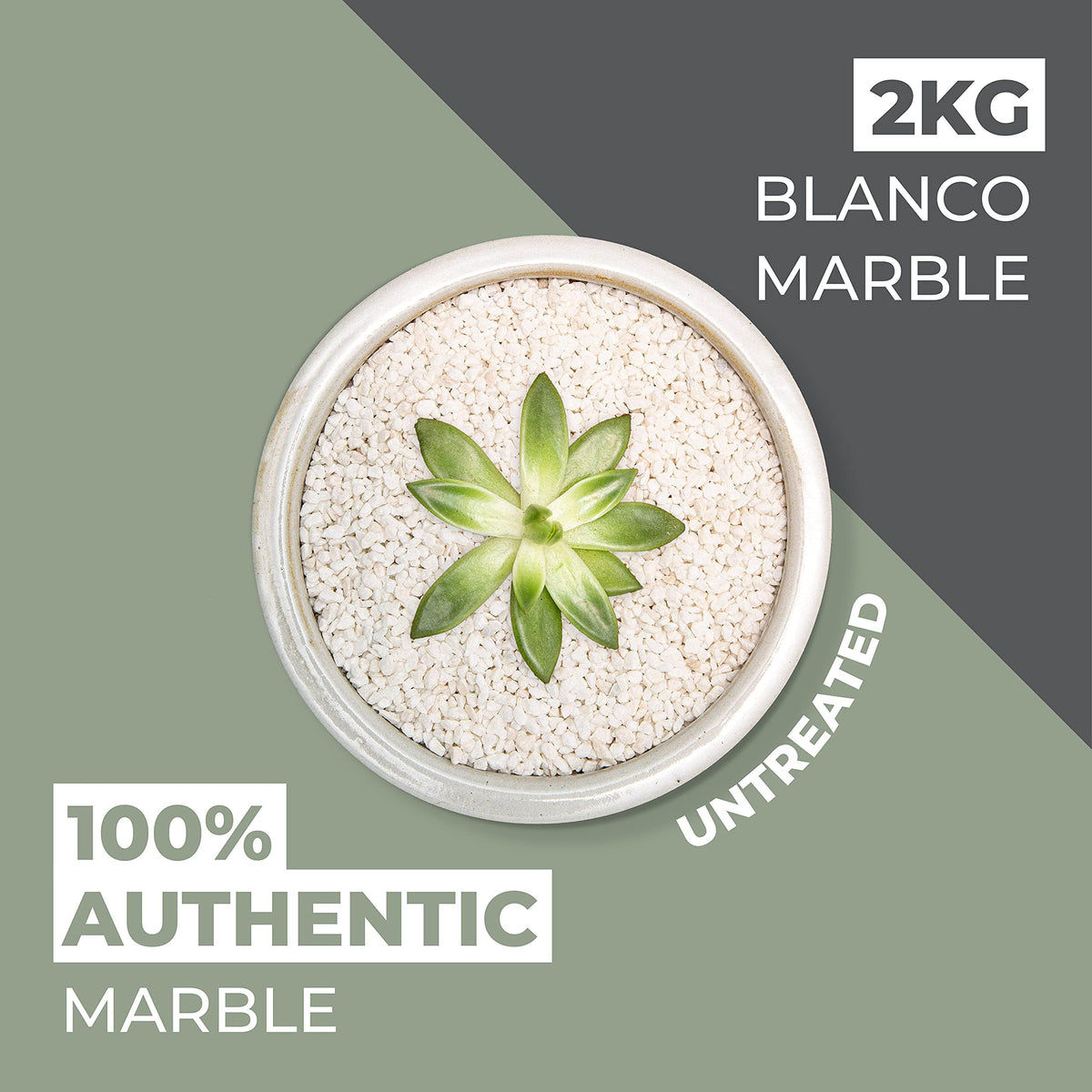 Natural World Rock Plant Topper Rocks - Beautiful Natural Rocks | 4lbs | 1/5" Diameter | Home & Garden Plant Pots Vases and Decorations (Blanco (White) Marble)