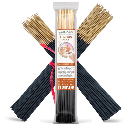 Pumpkin Spice Incense Sticks 11" - 1 Bundle 85 to 100 Sticks - Smooth and Clean Long Burn Time, 45 to 60 Minutes.