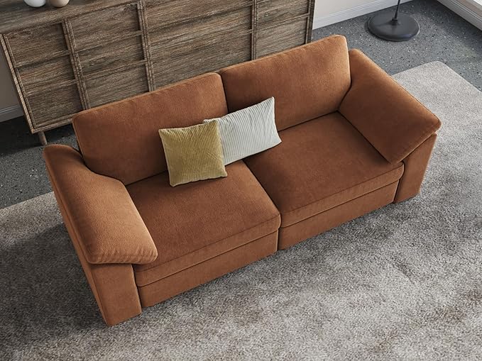 EASE MOOSE Modern Loveseat Sofa