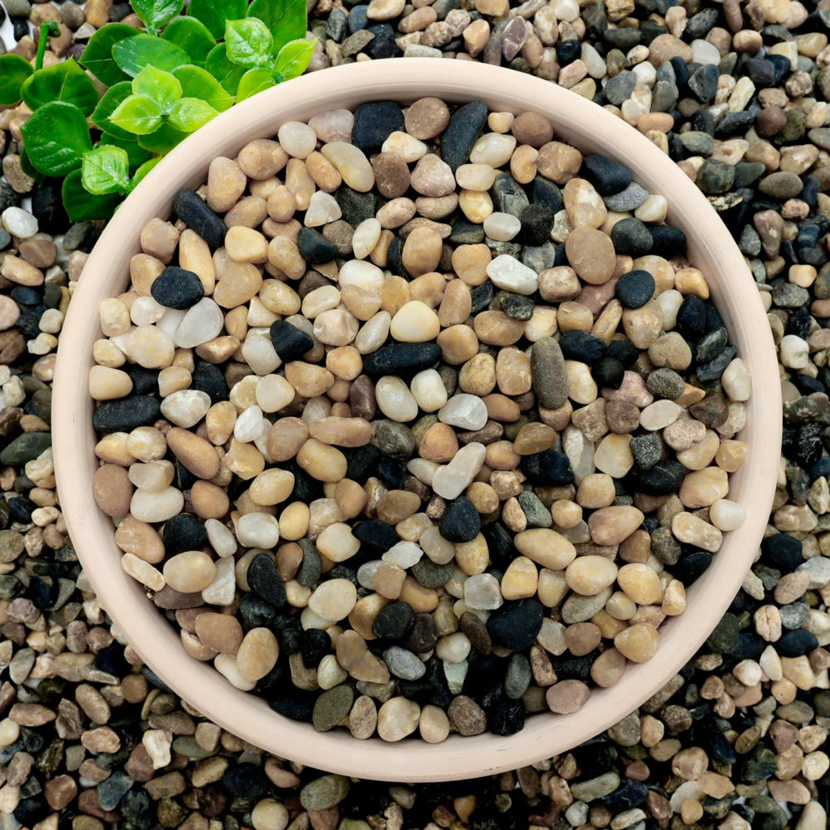 NUPICK 6 lb Aquarium Gravel, 1/4" Ph-Natural Pea Gravel for Fish Tank,Small River Rocks for Plants, Decorative Aquarium Pebbles for Vase Fillers, Landscaping, Succulent, Cactus, Terrarium, Bird Bath