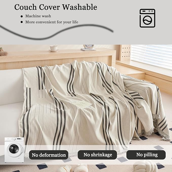 DREAMINGO Couch Cover Washable Chenille Sofa Protector