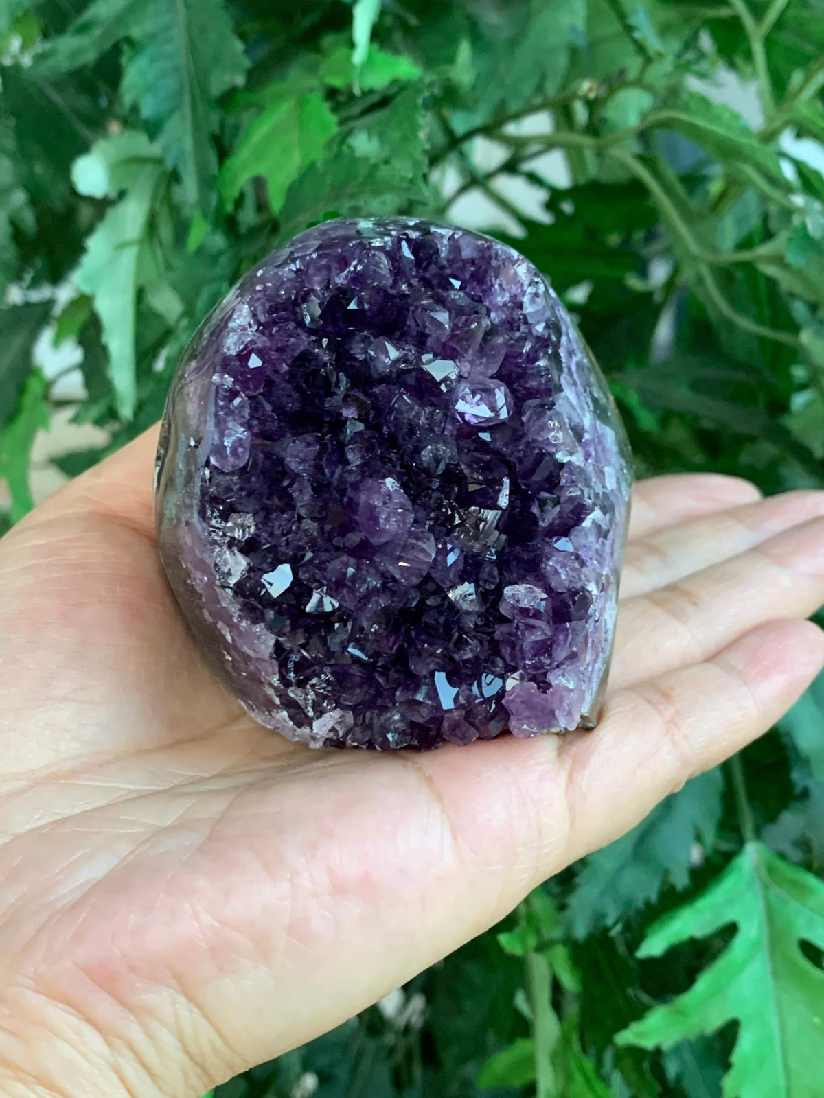 GAF TREASURES Finely Polished Uruguayan Deep Purple Amethyst Cluster with Cut Base, Standing Amethyst Geode, Raw Amethyst, Amethyst Cathedral, Amethyst Druze (0.5-1 lb)