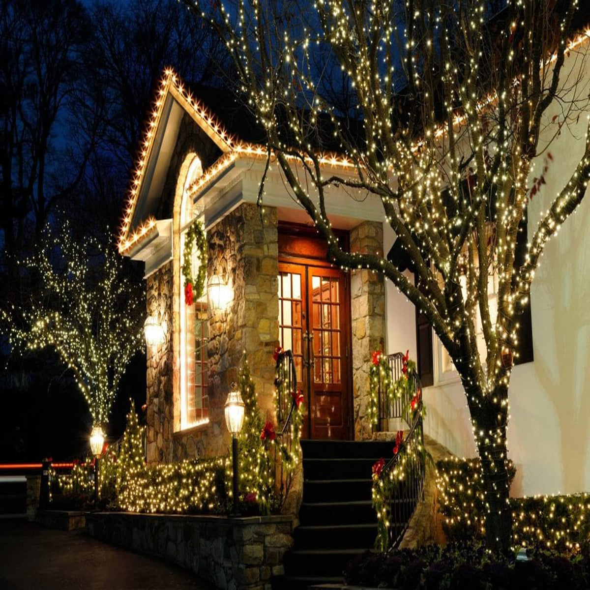 Wominoy 25ft 50 Counts Warm White LED Christmas Lights - Commercial Grade Outdoor Waterproof, Green Wire, Xmas Tree Lights, IP:65, UL