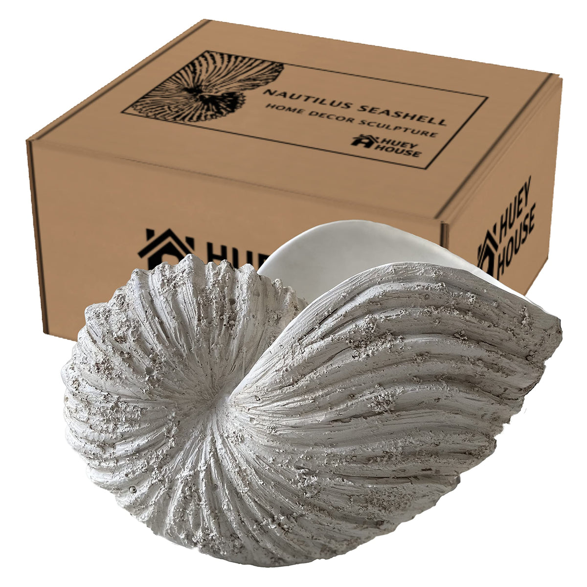 Huey House Nautilus Shell Sculpture - Replica Beach Themed Ocean Decor for Home - Rustic White Resin 10¼" x 6" x 8" Crafted Coastal Seashell Shelf Decor Gift-Boxed