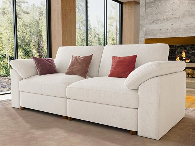 EASE MOOSE Modern Loveseat Sofa