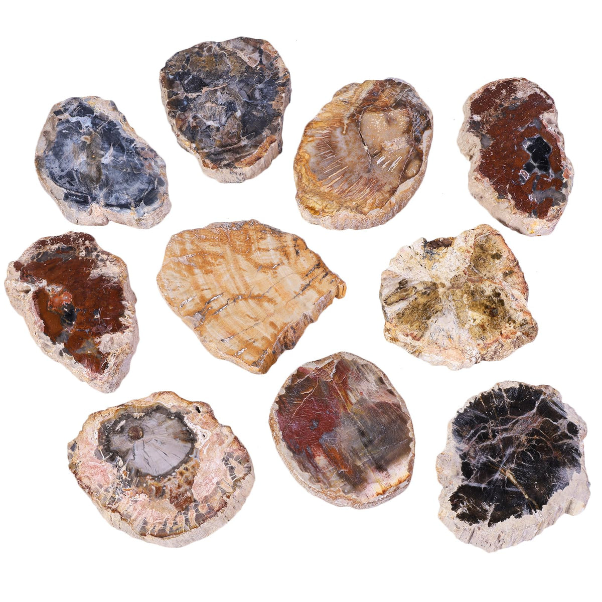 TUMBEELLUWA 5 Pcs Natural Petrified Wood Slabs Fossil Stone Slab for Boho Home Decor, Small Stone Coasters for Coffee Table Desk