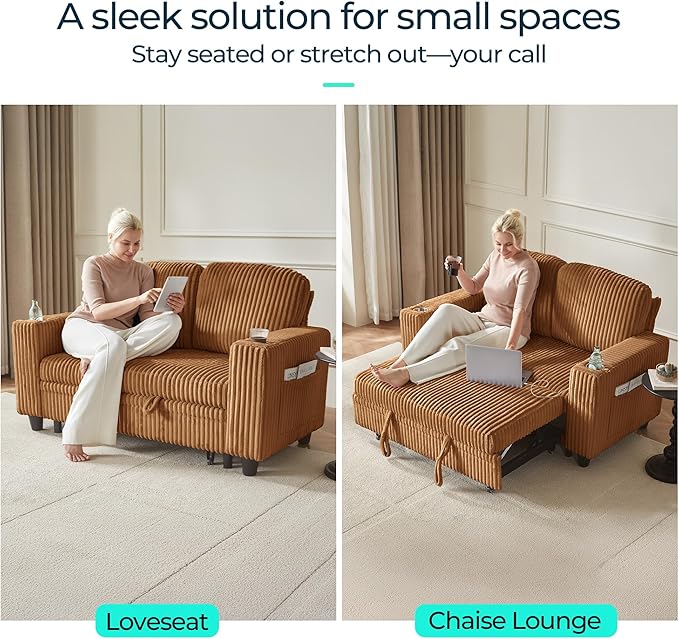 LINSY HOME Sectional Sleeper Sofa Pull Out Couches