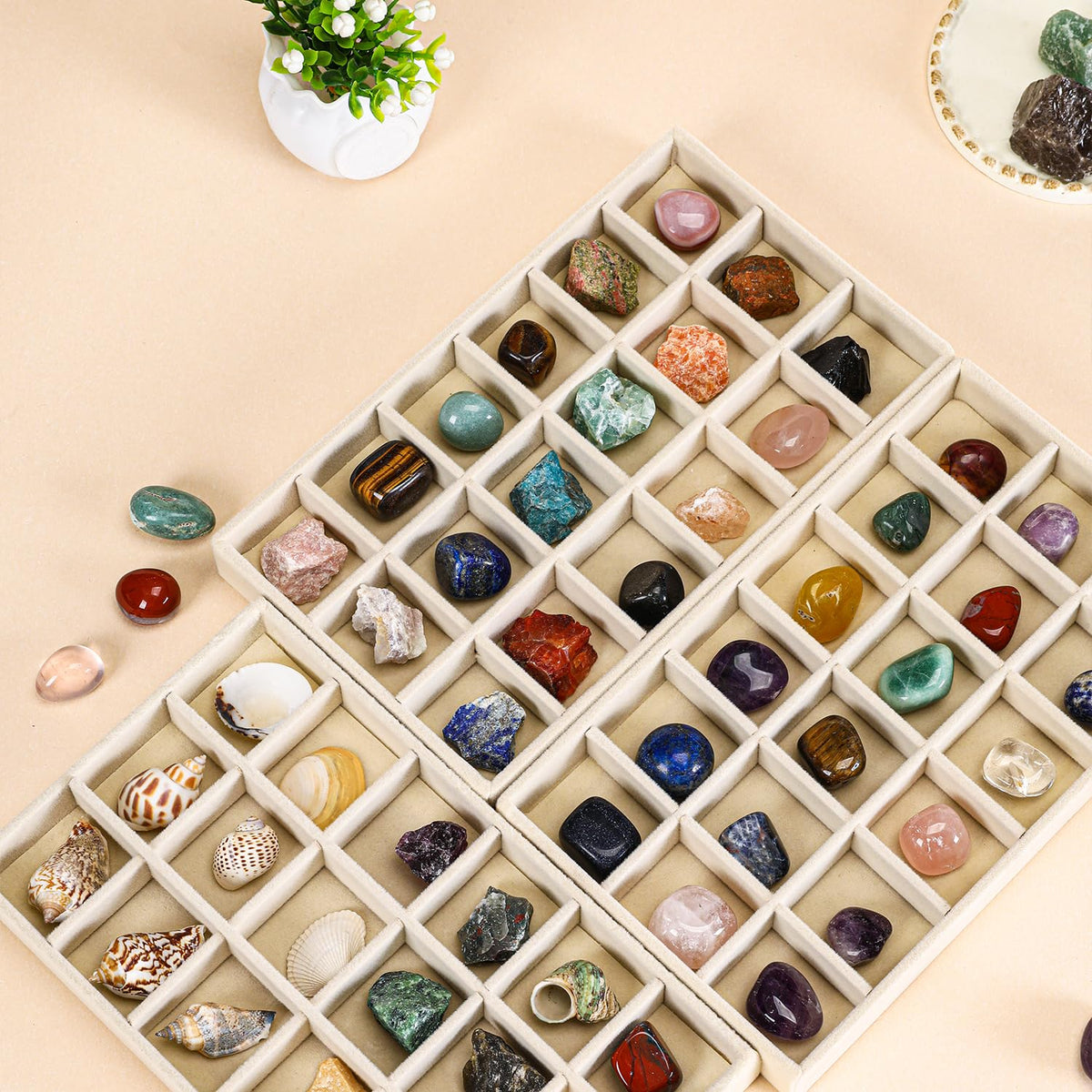 CLUQMEIK Acrylic Rock Collection Display Case with 54 Grids Storage Compartments Rock Collection Boxes Display Organizer Collection Storage Display Cases for Collectibles Crystal /Rock（Beige）