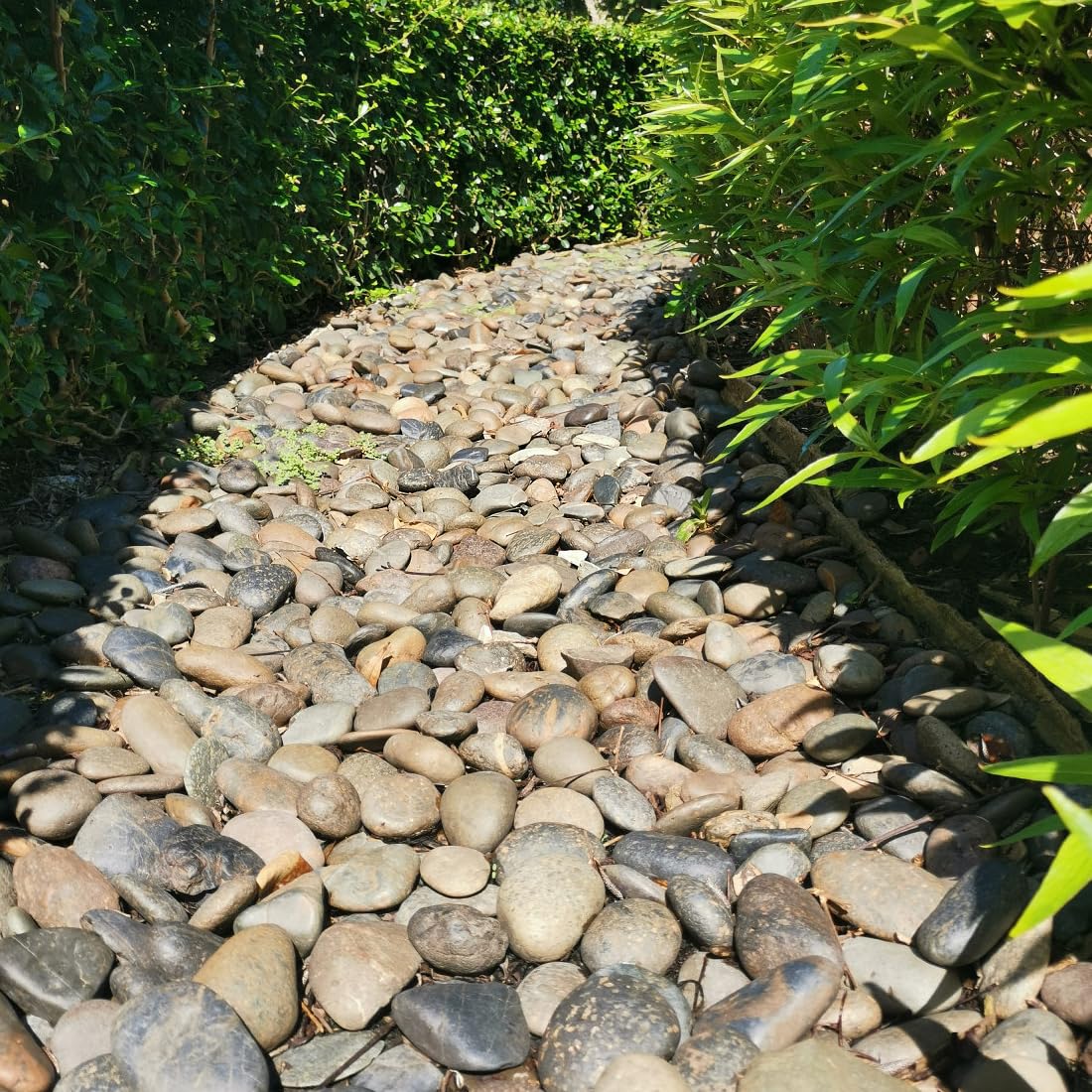 YISZM 20lbs Natural River Rocks, 3"-4" Premium Pebbles for Garden and Landscape Design, Hand-Picked Smooth Stones for Fish Tank, Flower Pots, Indoor Water Fountains, Pathways, Backyard