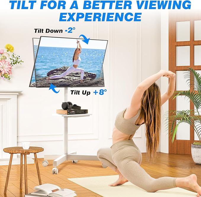 Rfiver Mobile TV Stand for 23-65 Inch LCD LED Flat/Curved Panel Screen TVs up
