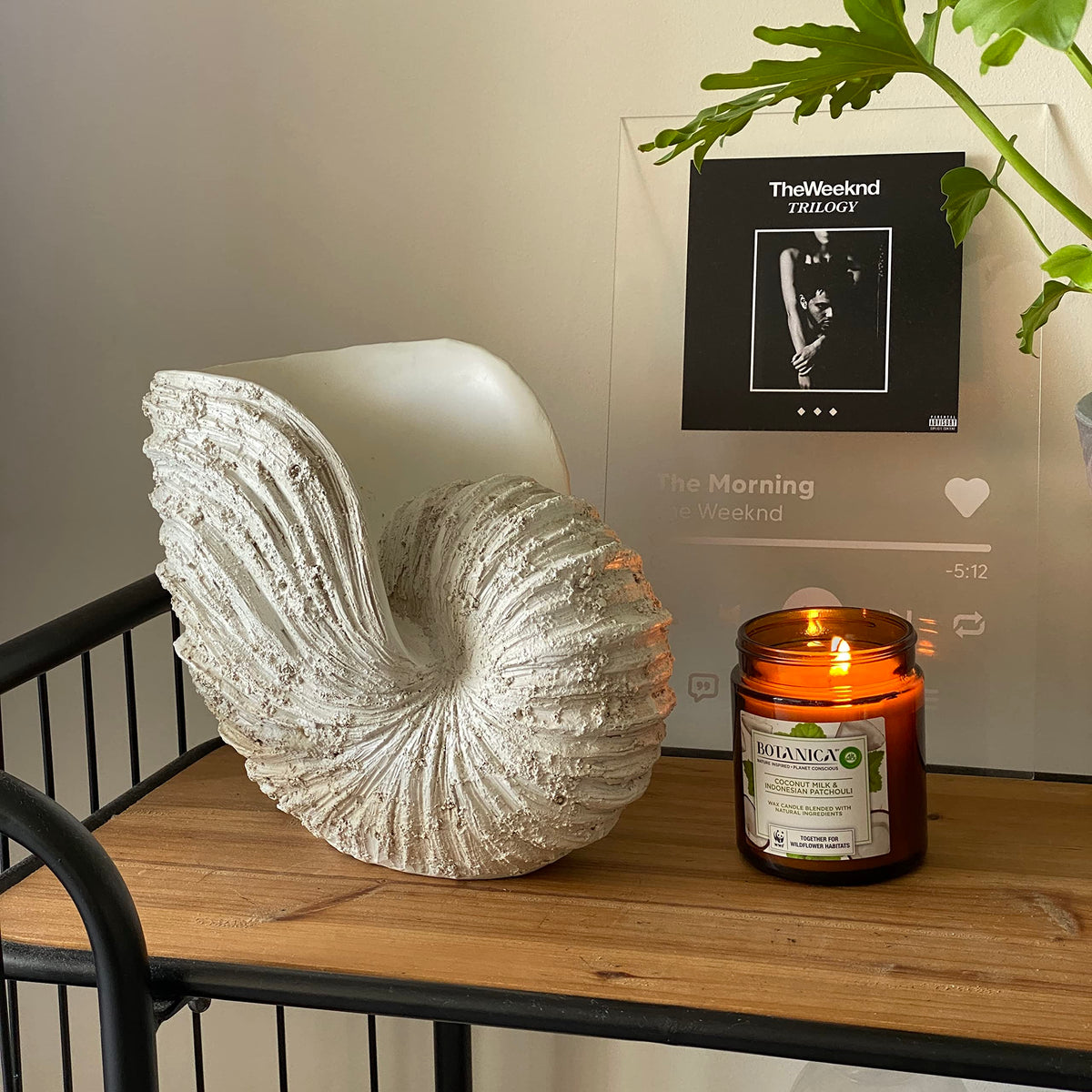 Huey House Nautilus Shell Sculpture - Replica Beach Themed Ocean Decor for Home - Rustic White Resin 10¼" x 6" x 8" Crafted Coastal Seashell Shelf Decor Gift-Boxed