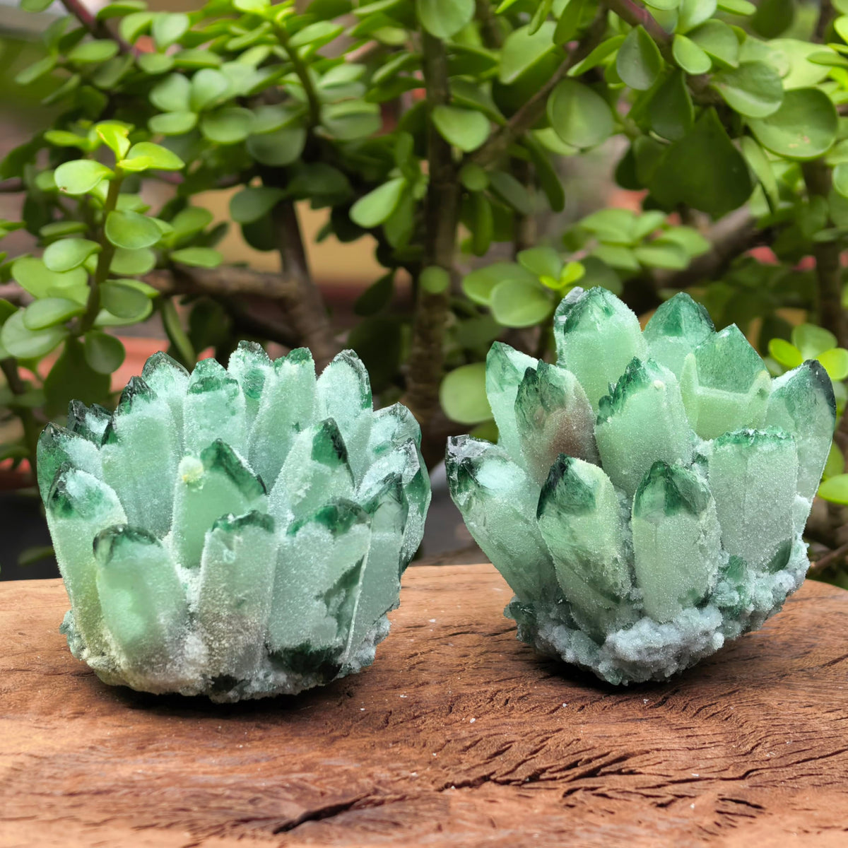 Natural Crystal Cluster Quartz Carved Crystal Sculpture Reiki Healing Stone Home Decor Mineral Specimen Crystal Gift Collection (Green Ghost Crystal)