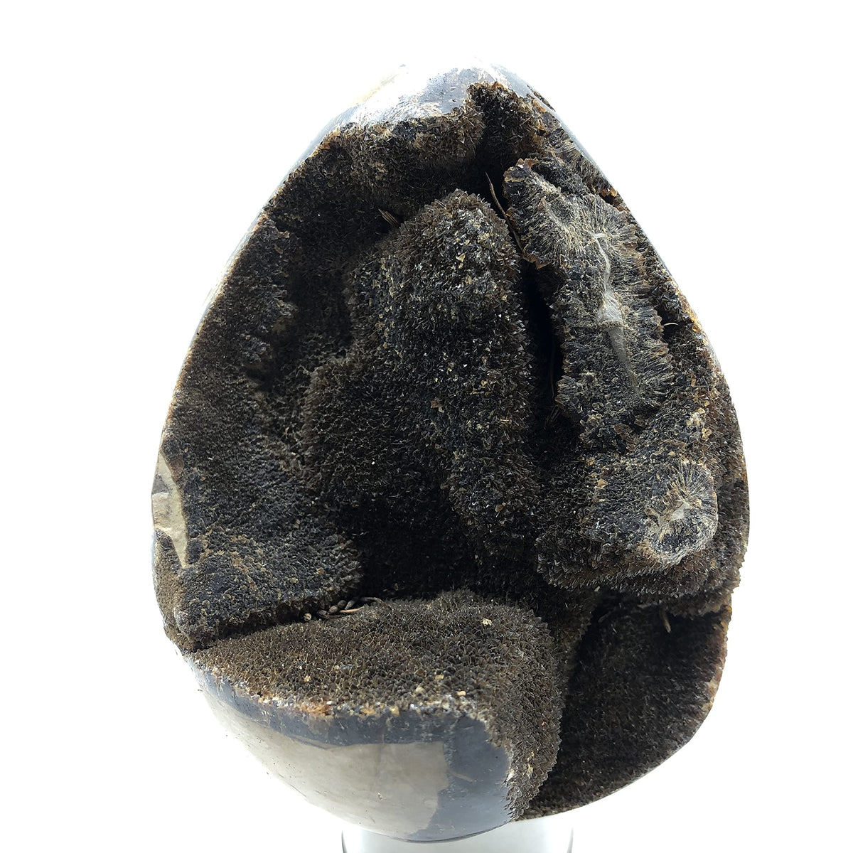DHRWGEM Natural Dragon Septarian Geode Egg Quartz Crystal Egg Crystal Geode Reiki Healing Home Decor DMDRA1 (0.22lb to 0.66lb)